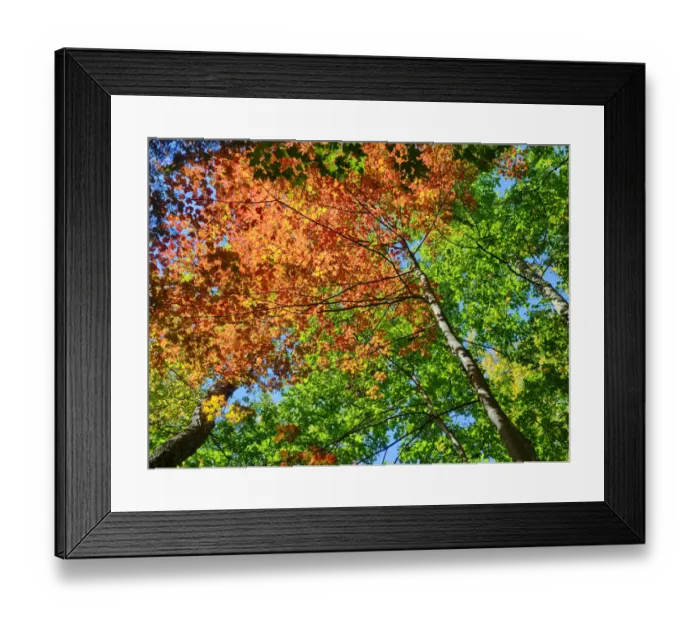 Framed Print : Changing seasons in Upper Michigan Framed Print : Changing seasons in Upper Michigan