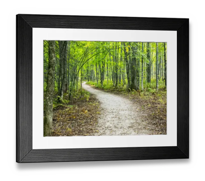 Framed Print : USA, Upper Michigan. Hiking trail in early autumn Framed Print : USA, Upper Michigan. Hiking trail in early autumn