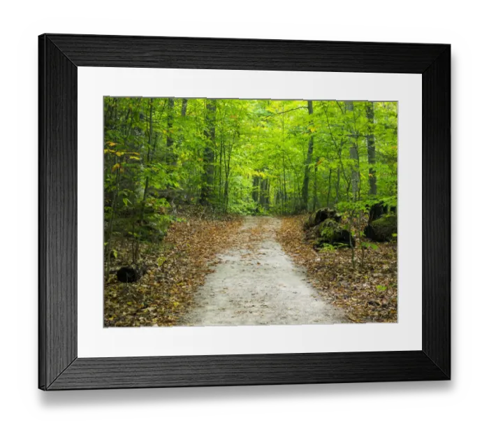 Framed Print : USA, Upper Michigan. Hiking trail in early autumn Framed Print : USA, Upper Michigan. Hiking trail in early autumn