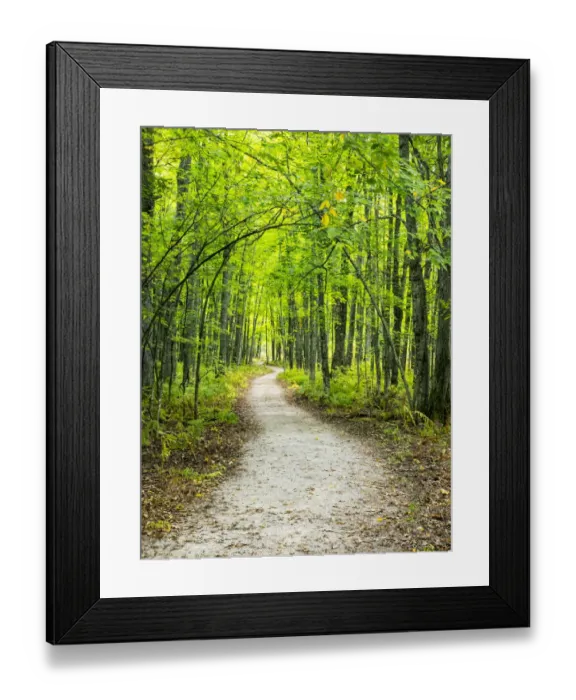 Framed Print : Hiking trail in forest during early Autumn Framed Print : Hiking trail in forest during early Autumn