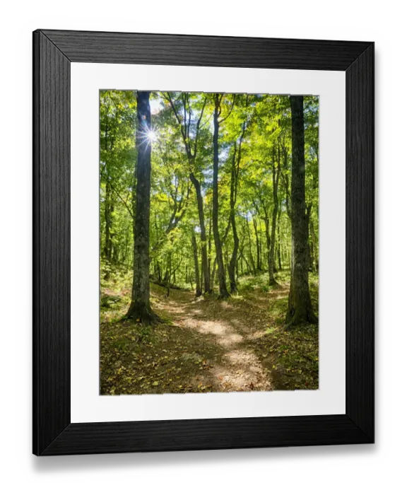 Framed Print : Changing seasons in Upper Michigan Framed Print : Changing seasons in Upper Michigan