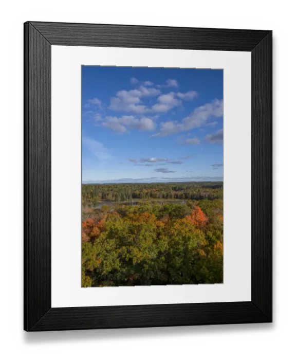Framed Print : USA, Minnesota, Itasca State Park Framed Print : USA, Minnesota, Itasca State Park