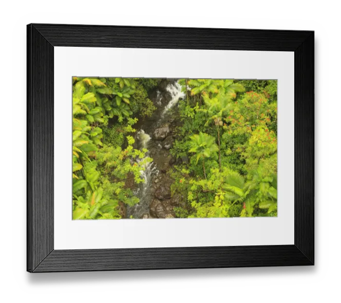 Framed Print : Area around Nanue Falls and stream, Hakalau, Hamakua Coast, Big Island, Hawaii Framed Print : Area around Nanue Falls and stream, Hakalau, Hamakua Coast, Big Island, Hawaii