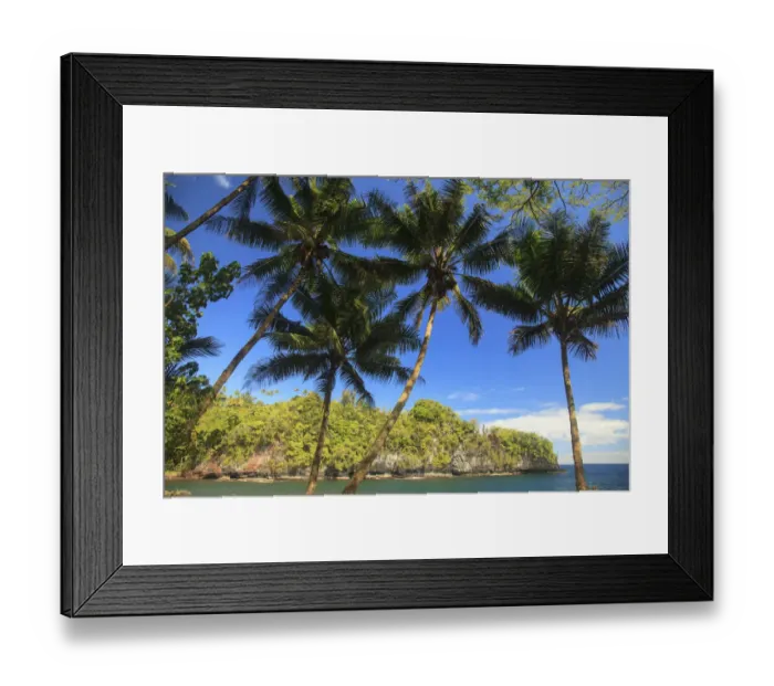 Framed Print : Hawaiian Tropical Botanical Gardens, near Hilo, Big Island, Hawaii, USA Palm trees Framed Print : Hawaiian Tropical Botanical Gardens, near Hilo, Big Island, Hawaii, USA Palm trees