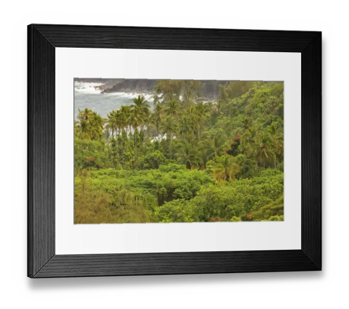 Framed Print : Hakalau area, Hamakua Coast, Big Island, Hawaii Framed Print : Hakalau area, Hamakua Coast, Big Island, Hawaii