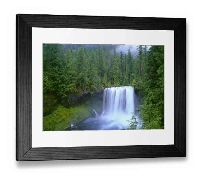 Framed Print : USA, Oregon, Willamette National Forest. McKenzie River plummets over Koosah Falls in spring Framed Print : USA, Oregon, Willamette National Forest. McKenzie River plummets over Koosah Falls in spring