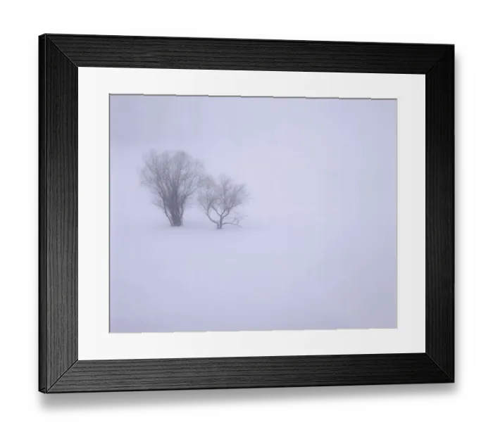 Framed Print : USA, Oregon, Wallowa Lake State Park. Winter snow and fog among small trees Framed Print : USA, Oregon, Wallowa Lake State Park. Winter snow and fog among small trees