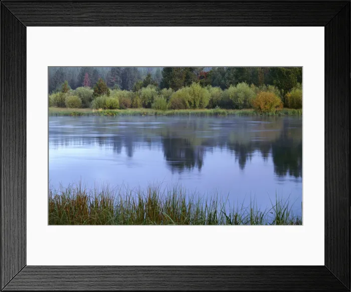 Framed Print : USA, Oregon, Deschutes National Forest. Early autumn along the upper sections of Framed Print : USA, Oregon, Deschutes National Forest. Early autumn along the upper sections of