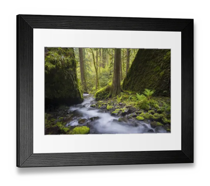 Framed Print : USA, Oregon. Spring view of Ruckle Creek in the Columbia River Gorge Framed Print : USA, Oregon. Spring view of Ruckle Creek in the Columbia River Gorge