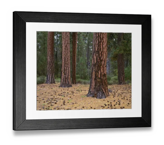 Framed Print : USA, Oregon, Newberry National Volcanic Monument Framed Print : USA, Oregon, Newberry National Volcanic Monument