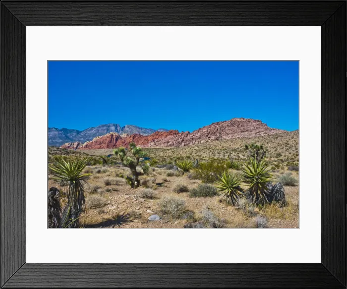Framed Print : USA, Nevada. Las Vegas. Red Rock National Conservation Area, Calico Hills North