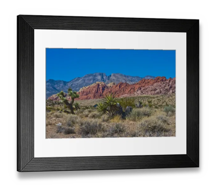 Framed Print : USA, Nevada, Las Vegas, Red Rock National Conservation Area, Calico Hills North Framed Print : USA, Nevada, Las Vegas, Red Rock National Conservation Area, Calico Hills North