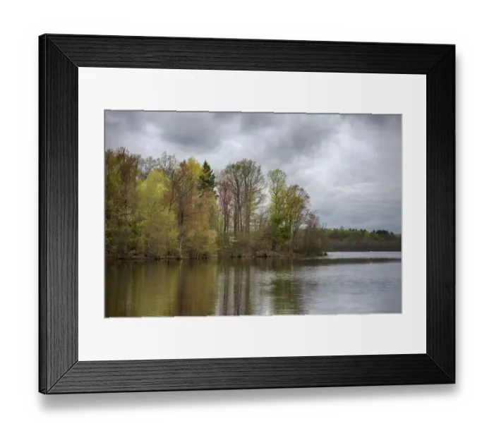 Framed Print : USA, New York State. Spring trees reflected in Mud Lake, Beaver Lake Nature Center Framed Print : USA, New York State. Spring trees reflected in Mud Lake, Beaver Lake Nature Center