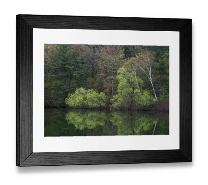 Framed Print : USA, New York State. Spring foliage reflected, Wellesley Island State Park, Thousand Framed Print : USA, New York State. Spring foliage reflected, Wellesley Island State Park, Thousand