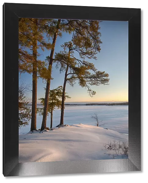 USA, New York State. Winter sunrise along the St. Lawrence River shoreline, Thousand Islands