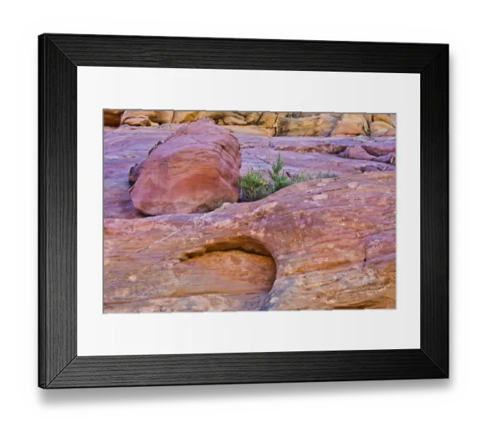 Framed Print : Pink Canyon, Valley of Fire State Park, Nevada, USA Framed Print : Pink Canyon, Valley of Fire State Park, Nevada, USA