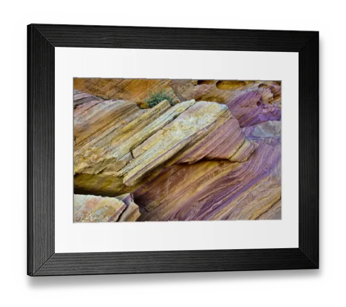 Framed Print : Close-up, Rainbow Vista, Valley of Fire State Park, Nevada, USA Framed Print : Close-up, Rainbow Vista, Valley of Fire State Park, Nevada, USA
