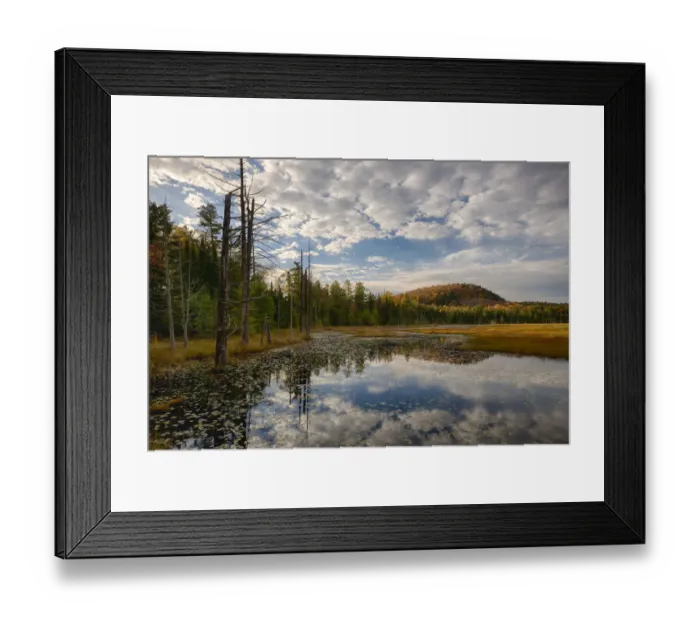 Framed Print : USA, New York State. Reflections in pond in autumn, Adirondack Mountains Framed Print : USA, New York State. Reflections in pond in autumn, Adirondack Mountains
