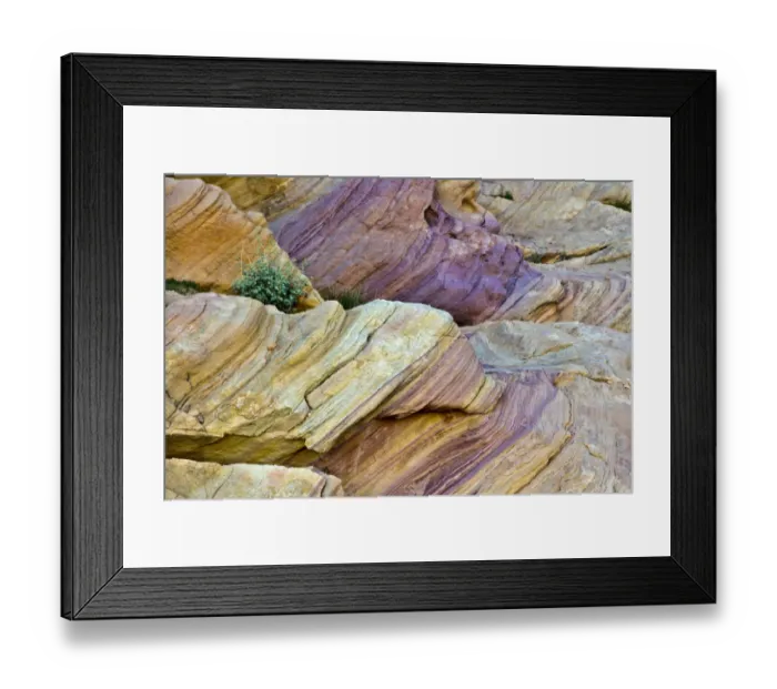 Framed Print : Colorful rocks, Rainbow Vista, Valley of Fire State Park, Overton, Nevada, USA Framed Print : Colorful rocks, Rainbow Vista, Valley of Fire State Park, Overton, Nevada, USA