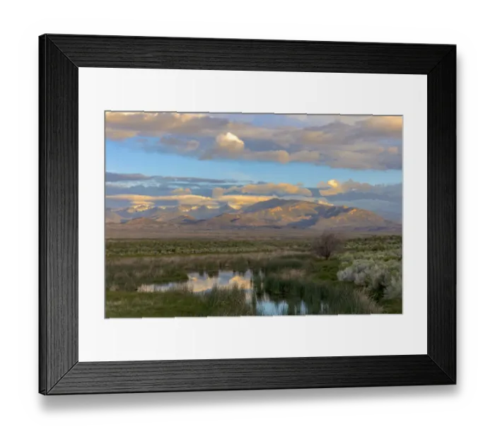 Framed Print : Snake Mountains reflecting into wetlands of Great Basin National Park, Nevada, USA Framed Print : Snake Mountains reflecting into wetlands of Great Basin National Park, Nevada, USA