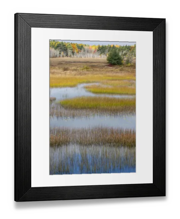 Framed Print : USA, Maine. New Mills Meadow Pond, Acadia National Park Framed Print : USA, Maine. New Mills Meadow Pond, Acadia National Park