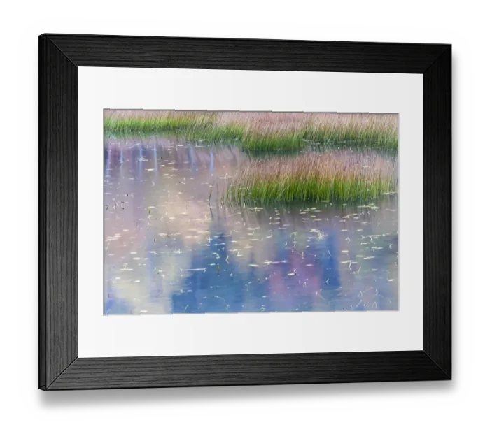 Framed Print : USA, Maine. Grasses and water lily pads with reflections, the Tarn, Acadia National Park Framed Print : USA, Maine. Grasses and water lily pads with reflections, the Tarn, Acadia National Park