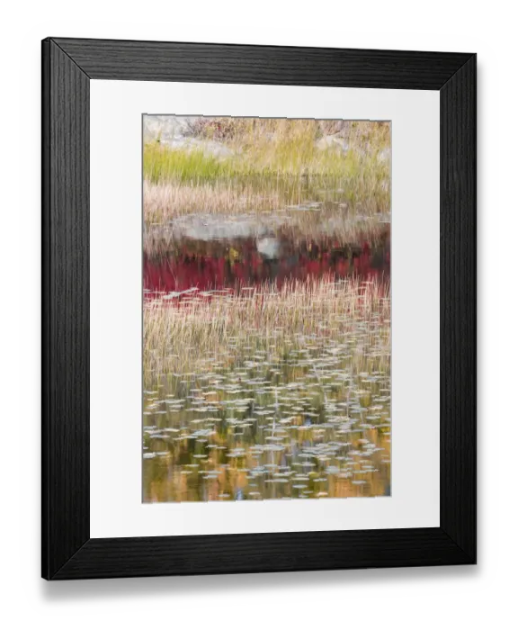 Framed Print : USA, Maine. Reflections, New Mills Meadow Pond, Acadia National Park Framed Print : USA, Maine. Reflections, New Mills Meadow Pond, Acadia National Park