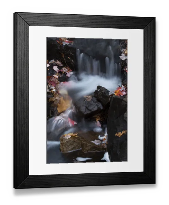 Framed Print : USA, Maine. Autumn leaves along small waterfall on Duck Brook, Acadia National Park Framed Print : USA, Maine. Autumn leaves along small waterfall on Duck Brook, Acadia National Park