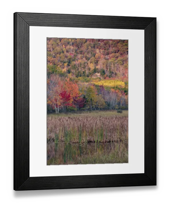 Framed Print : USA, Maine. Autumn foliage reflected in a pond, Acadia National Park