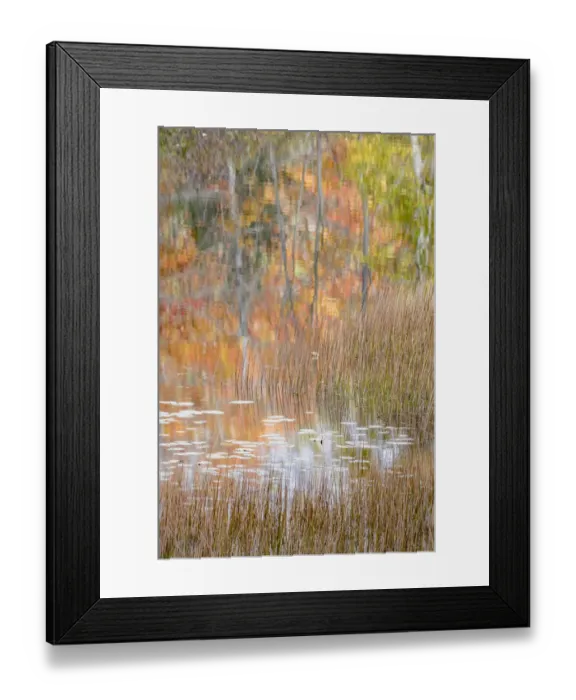Framed Print : USA, Maine. Autumn reflections and grasses on New Mills Meadow Pond, Acadia National Park Framed Print : USA, Maine. Autumn reflections and grasses on New Mills Meadow Pond, Acadia National Park