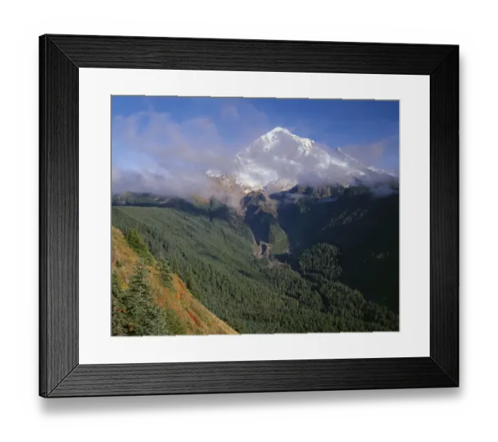 Framed Print : USA, Oregon. Mount Hood National Forest, Mount Hood Wilderness, Drifting clouds obscure Framed Print : USA, Oregon. Mount Hood National Forest, Mount Hood Wilderness, Drifting clouds obscure