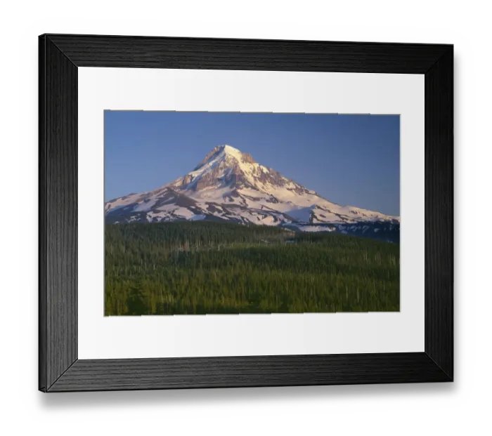 Framed Print : USA, Oregon. Mount Hood National Forest, evening light on north side of Mound Hood Framed Print : USA, Oregon. Mount Hood National Forest, evening light on north side of Mound Hood