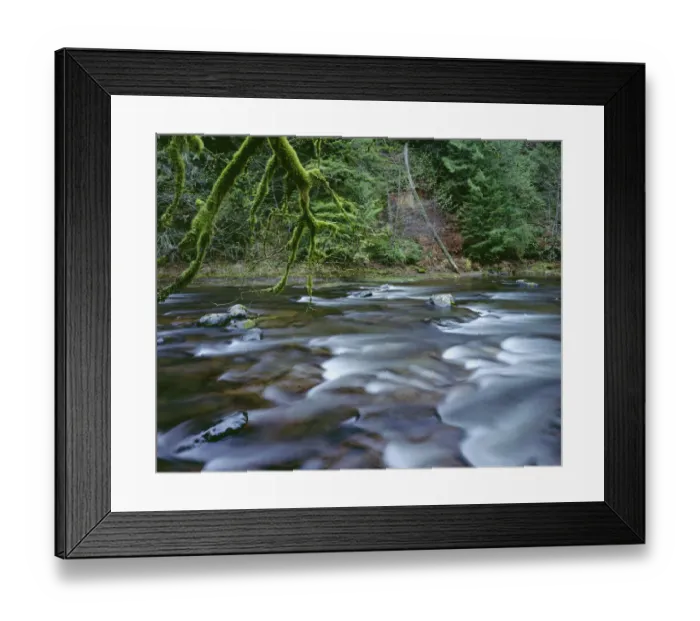 Framed Print : USA, Oregon, Mount Hood National Forest. Salmon-Huckleberry Wilderness, Salmon River