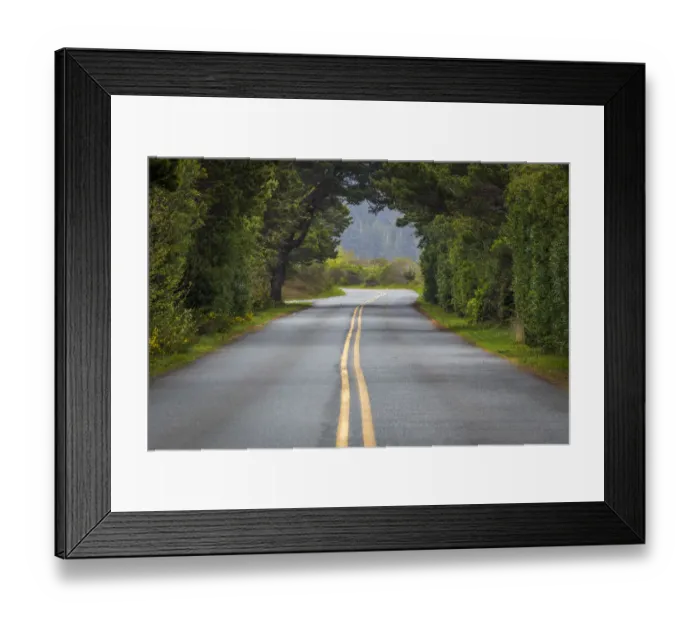 Framed Print : USA, Oregon, Bullards Beach State Park. Tree arch over road Framed Print : USA, Oregon, Bullards Beach State Park. Tree arch over road