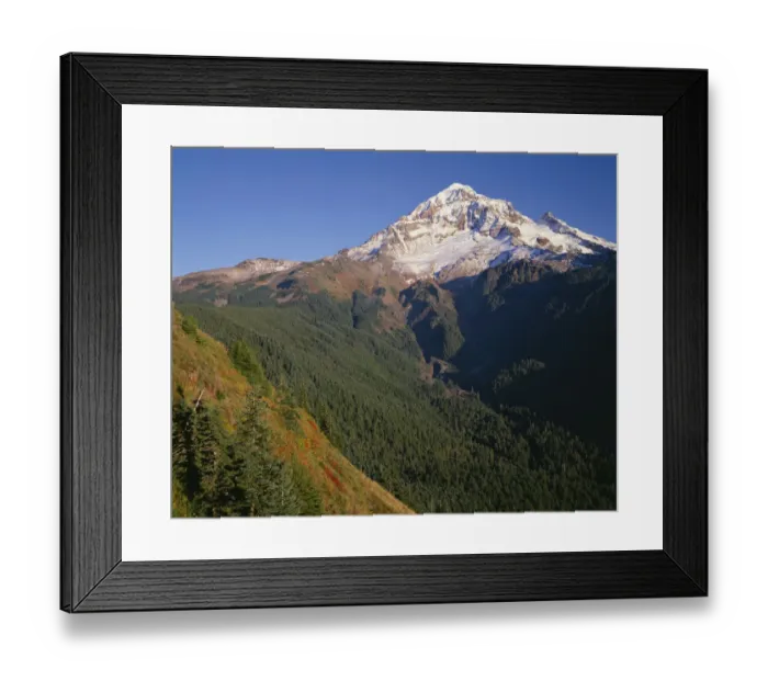 Framed Print : USA, Oregon, Mount Hood National Forest. Mount Hood Wilderness, West side of Mount Hood Framed Print : USA, Oregon, Mount Hood National Forest. Mount Hood Wilderness, West side of Mount Hood