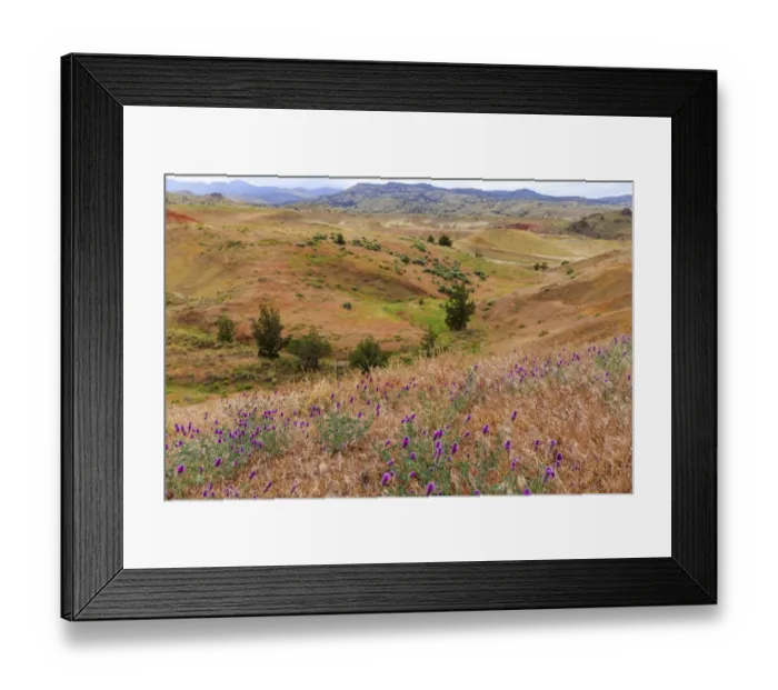 Framed Print : USA, Oregon, Redmond, Bend, Mitchell. Series of low clay hills striped in colorful Framed Print : USA, Oregon, Redmond, Bend, Mitchell. Series of low clay hills striped in colorful