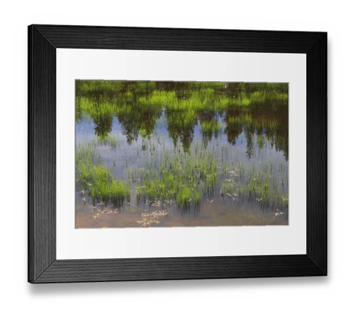 Framed Print : USA, Eastern Oregon, Cascade Lakes Highway, Cascade Mountains, Deschutes National Forest Framed Print : USA, Eastern Oregon, Cascade Lakes Highway, Cascade Mountains, Deschutes National Forest
