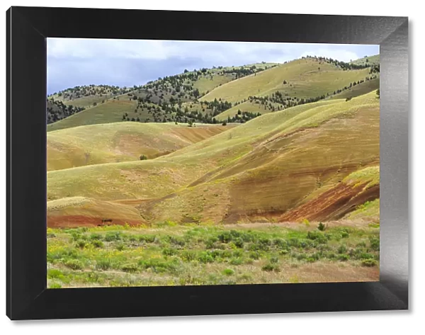 USA, Oregon, Redmond, Bend, Mitchell. Series of low clay hills striped in colorful