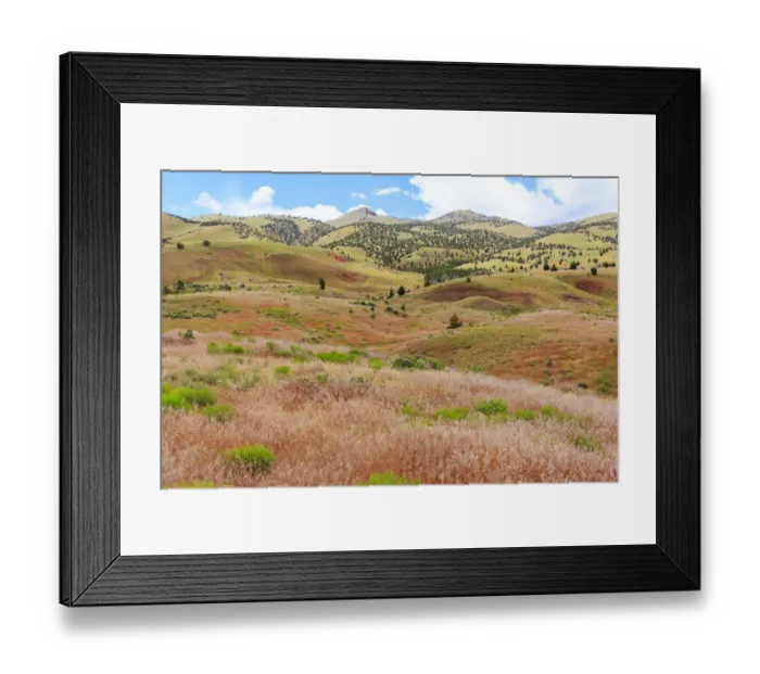 Framed Print : USA, Oregon, Redmond, Bend, Mitchell. Series of low clay hills striped in colorful Framed Print : USA, Oregon, Redmond, Bend, Mitchell. Series of low clay hills striped in colorful