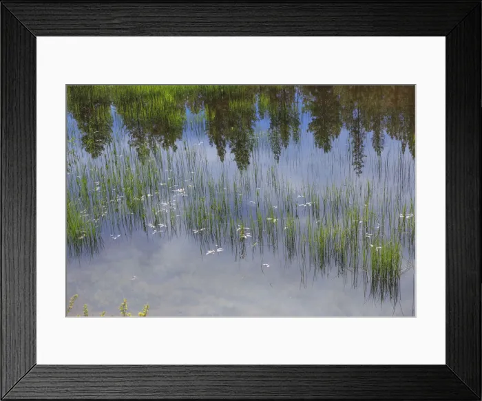 Framed Print : USA, Eastern Oregon, Cascade Lakes Highway, Cascade Mountains, Deschutes National Forest Framed Print : USA, Eastern Oregon, Cascade Lakes Highway, Cascade Mountains, Deschutes National Forest