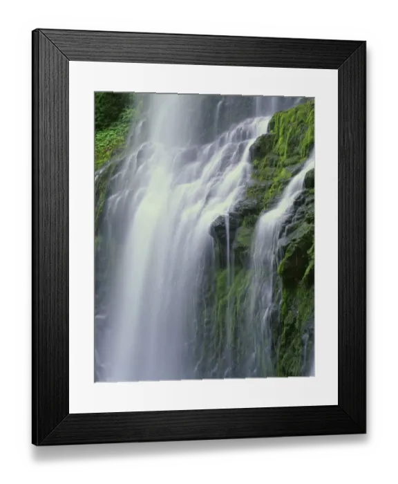 Framed Print : USA, Oregon, Willamette National Forest. Three Sisters Wilderness, Lower Proxy Falls Framed Print : USA, Oregon, Willamette National Forest. Three Sisters Wilderness, Lower Proxy Falls
