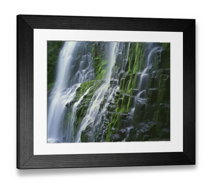 Framed Print : USA, Oregon, Willamette National Forest. Three Sisters Wilderness, Lower Proxy Falls Framed Print : USA, Oregon, Willamette National Forest. Three Sisters Wilderness, Lower Proxy Falls