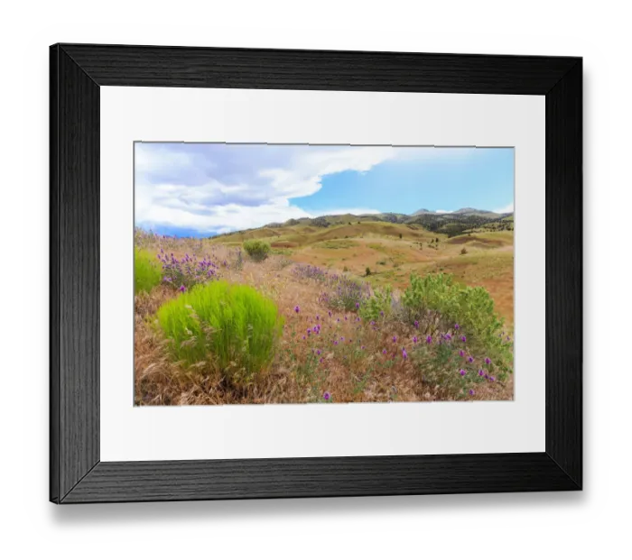 Framed Print : USA, Central Oregon, Redmond, Bend, Mitchell Framed Print : USA, Central Oregon, Redmond, Bend, Mitchell