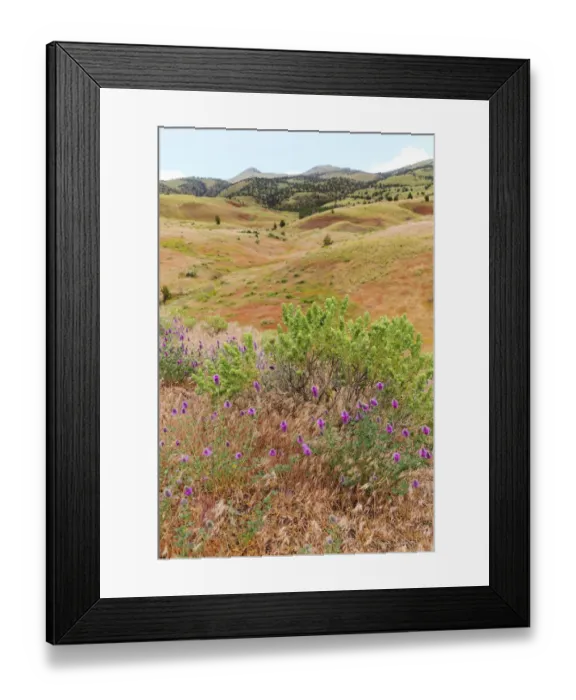 Framed Print : USA, Oregon, Redmond, Bend, Mitchell. Series of low clay hills striped in colorful Framed Print : USA, Oregon, Redmond, Bend, Mitchell. Series of low clay hills striped in colorful
