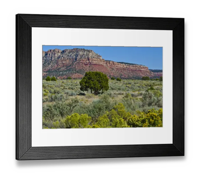 Framed Print : USA, Nevada, Valley of Fire State Park. West Valley of Fire Highway Framed Print : USA, Nevada, Valley of Fire State Park. West Valley of Fire Highway