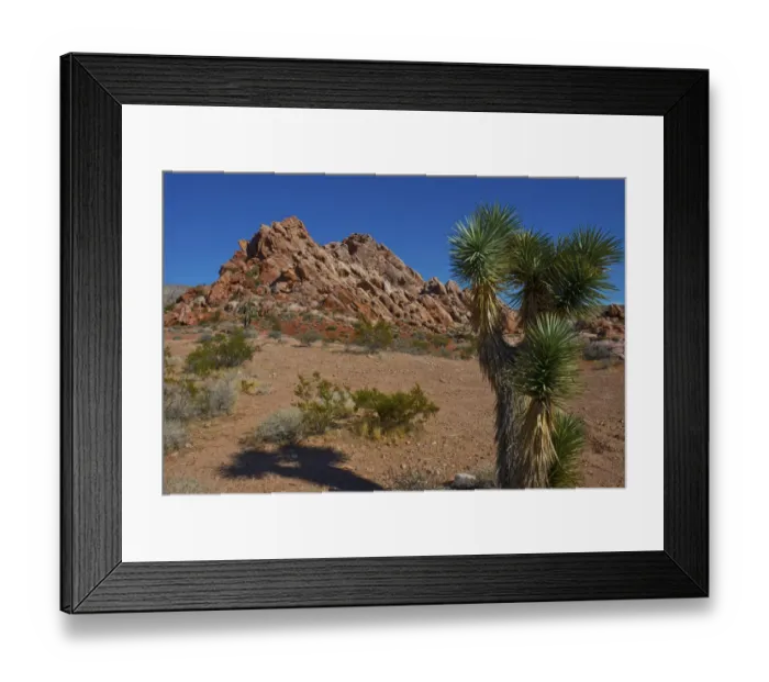 Framed Print : USA, Nevada, Mesquite. Gold Butte National Monument, Blackhawk Road vista Framed Print : USA, Nevada, Mesquite. Gold Butte National Monument, Blackhawk Road vista
