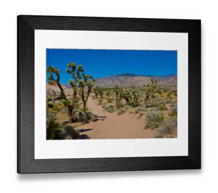 Framed Print : USA, Nevada, Mesquite. Gold Butte National Monument, Blackhawk Road vista