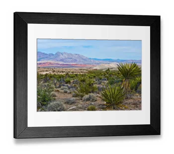 Framed Print : USA, Nevada, Mesquite. Gold Butte National Monument, Million Hills from Gold Butte Road Framed Print : USA, Nevada, Mesquite. Gold Butte National Monument, Million Hills from Gold Butte Road