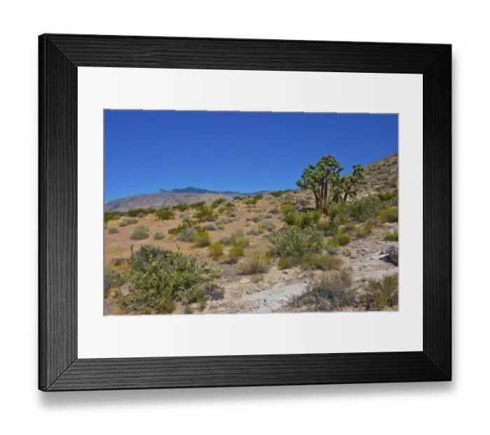 Framed Print : USA, Nevada, Mesquite. Gold Butte National Monument, Blackhawk Road vista