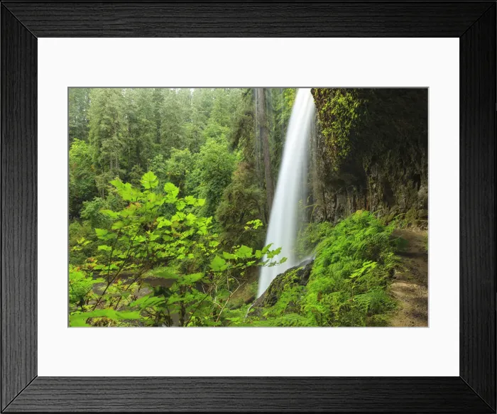 Framed Print : Trail of Ten Falls, Silver Falls State Park, near Silverton, Oregon